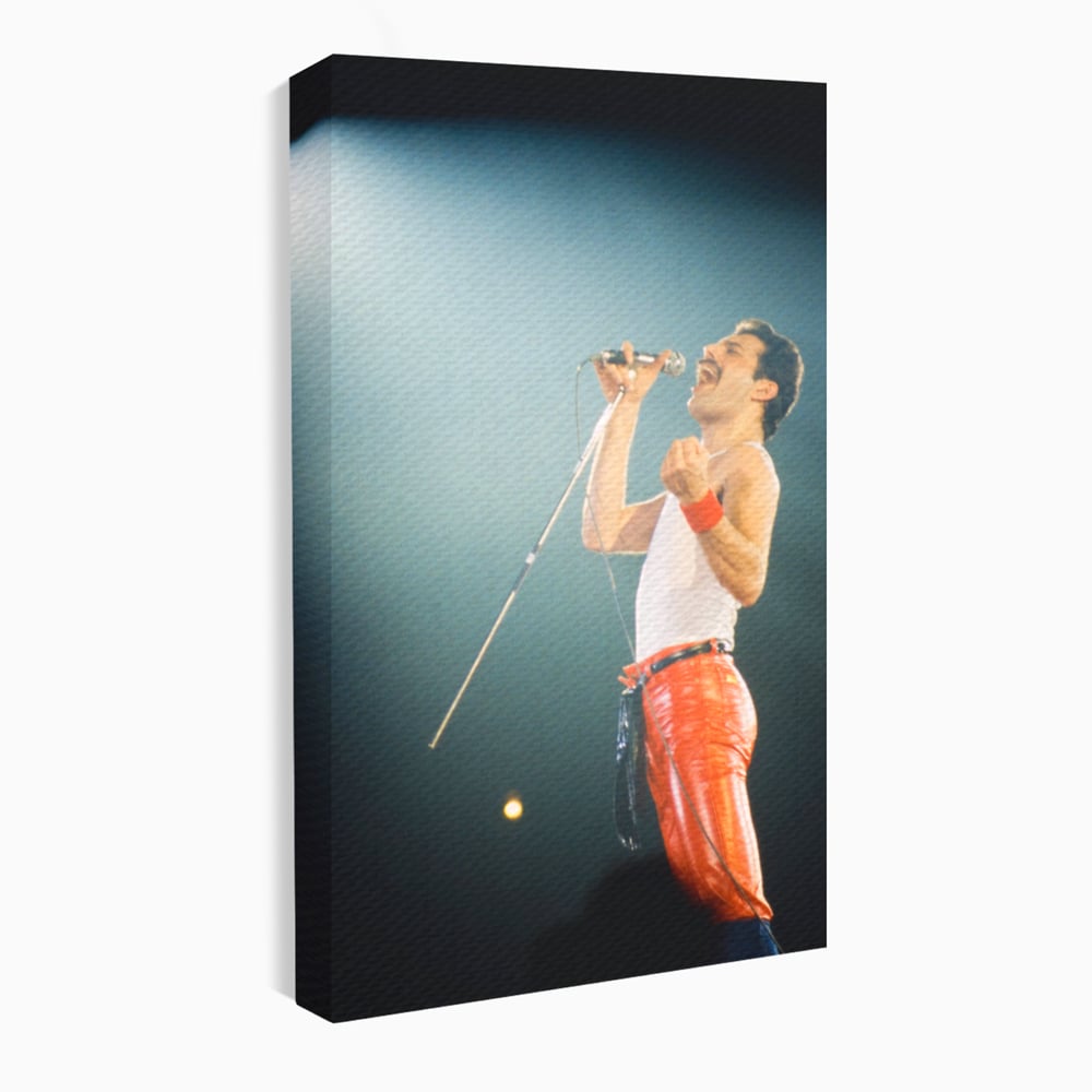 Tablou canvas cu tablou canvas cu freddie mercury, fara rama, pe sasiu de lemn